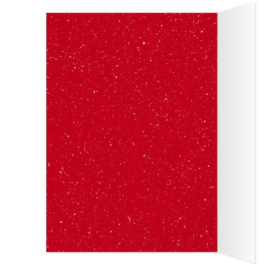 Kerstkardinaal met Pet van de Stand (Binnen (Links))