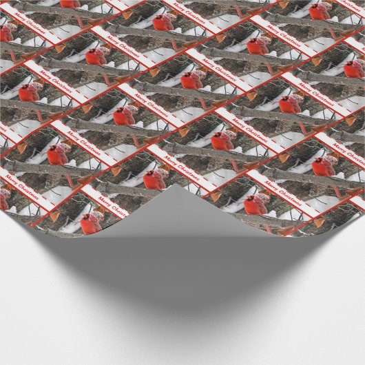 Kerstkardinaal met Pet van de Stand Cadeaupapier (Hoek)