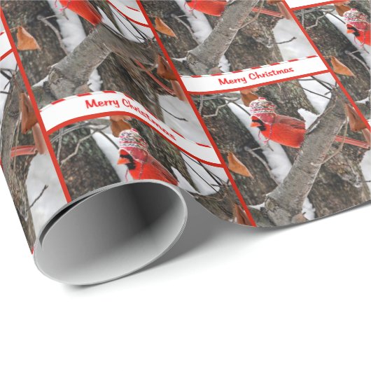 Kerstkardinaal met Pet van de Stand Cadeaupapier (Rol Hoek)