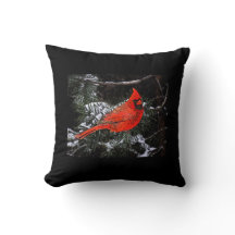 Kerstkardinaal Omkeerbaar (zwart)