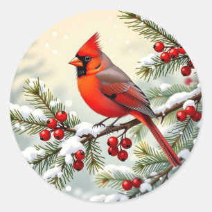 Kerstkardinaal op besneeuwde dennentak ronde sticker