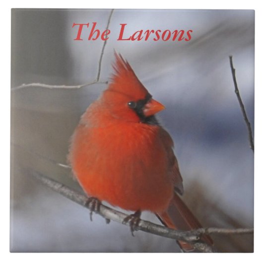 kerstkardinaal tegeltje (Voorkant)