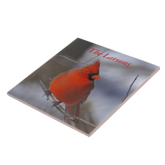 kerstkardinaal tegeltje (Zijkant)