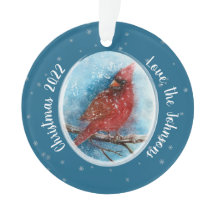 Kerstkardinale sneeuwvlokken op rood of blauw