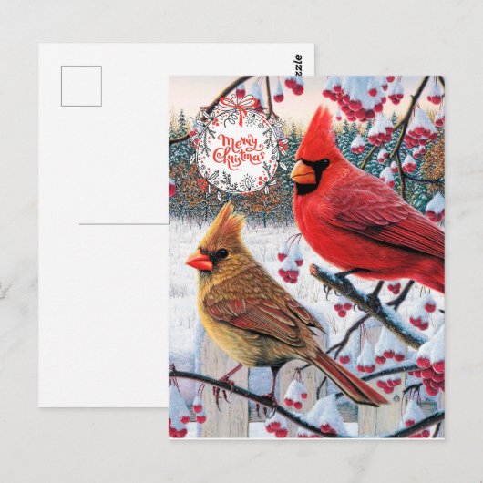 kerstkardinalen briefkaart (Voorkant / Achterkant)