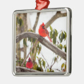 kerstkardinalen Scene Metalen Ornament (Links)