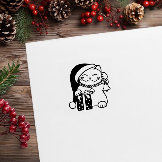 Kerstkat 1x1 rubberstempel