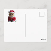 kerstkat briefkaart (Achterkant)