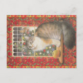 kerstkat-briefkaart  briefkaart (Voorkant)