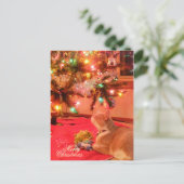 kerstkat-Briefkaart Feestdagenkaart (Staand voorkant)
