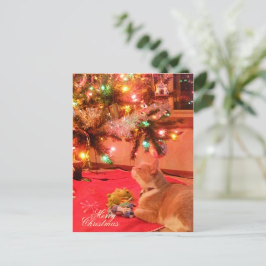 kerstkat-Briefkaart Feestdagenkaart (Staand voorkant)