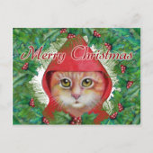 kerstkat-Briefkaart Feestdagenkaart (Voorkant)
