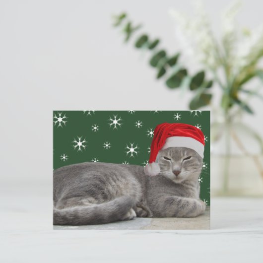 kerstkat-Briefkaart Feestdagenkaart (Staand voorkant)