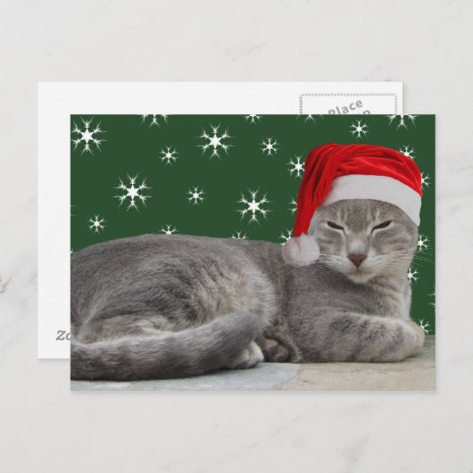 kerstkat-Briefkaart Feestdagenkaart (Voorkant / Achterkant)