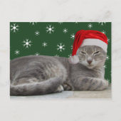 kerstkat-Briefkaart Feestdagenkaart (Voorkant)