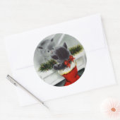kerstkat die op spiegel kijkt ronde sticker (Envelop)