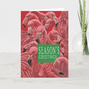 kerstkat en flamboyance van roze flamingos bedankkaart