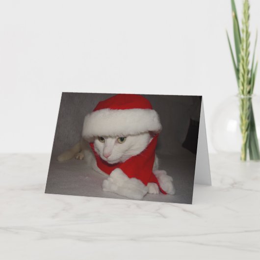 kerstKat Feestdagen Kaart (Voorkant)