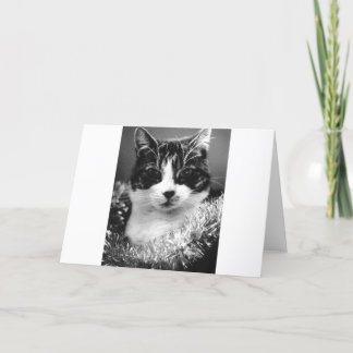 kerstkat feestdagen kaart