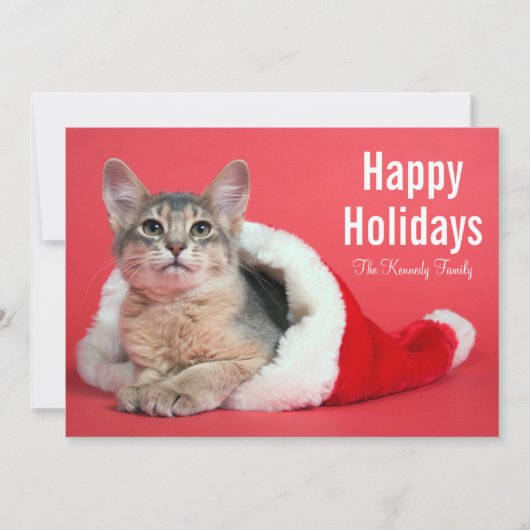 kerstkat feestdagenkaart (Voorkant)