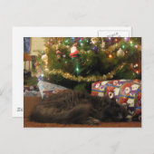 kerstkat feestdagenkaart (Voorkant / Achterkant)