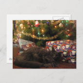 kerstkat feestdagenkaart (Voorkant / Achterkant)