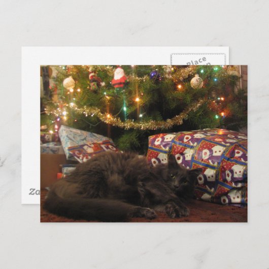 kerstkat feestdagenkaart (Voorkant / Achterkant)