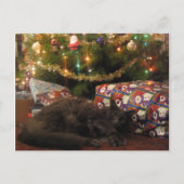 kerstkat feestdagenkaart (Voorkant)