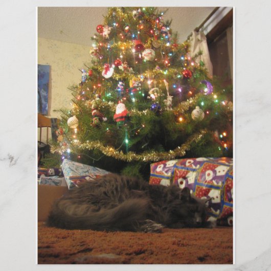 Kerstkat Flyer (Voorkant)
