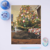 Kerstkat Flyer (Enkel)