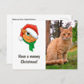 Kerstkat Foto Feestdagenkaart (Voorkant / Achterkant)