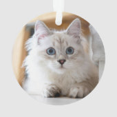 Kerstkat foto van een huisdier ornament (achterkant)