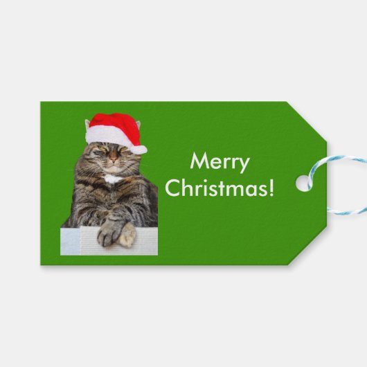 Kerstkat Foto van Santa Hat Gift Label Cadeaulabel (Voorkant (Horizontaal))