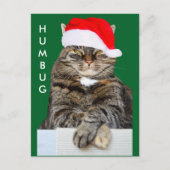 Kerstkat Humbug Foto Briefkaart (Voorkant)