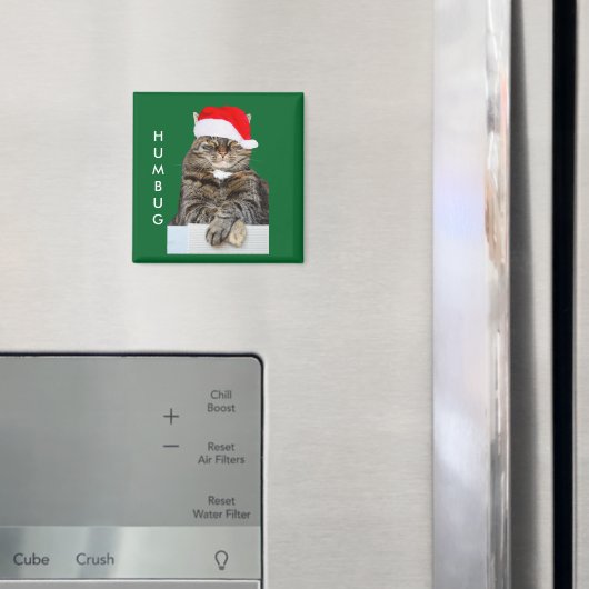 Kerstkat Humbug Foto met Santa Hat Magneet (Insitu (Koelkast))
