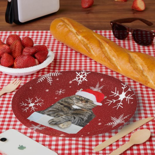 Kerstkat Humbug Foto met Santa Hat Papieren Bordje (Picknick)