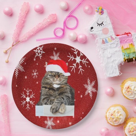 Kerstkat Humbug Foto met Santa Hat Papieren Bordje (Feest)