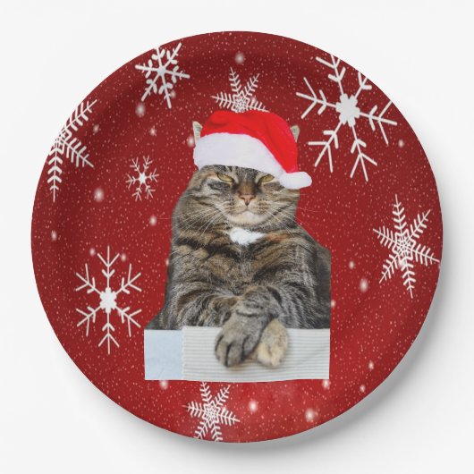 Kerstkat Humbug Foto met Santa Hat Papieren Bordje (Voorkant)