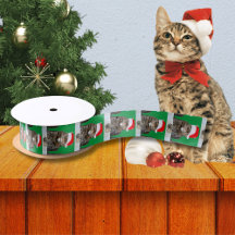 Kerstkat Humbug Foto met Santa Hat