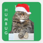 Kerstkat Humbug Foto met Santa Hat Vierkante Sticker (Voorkant)
