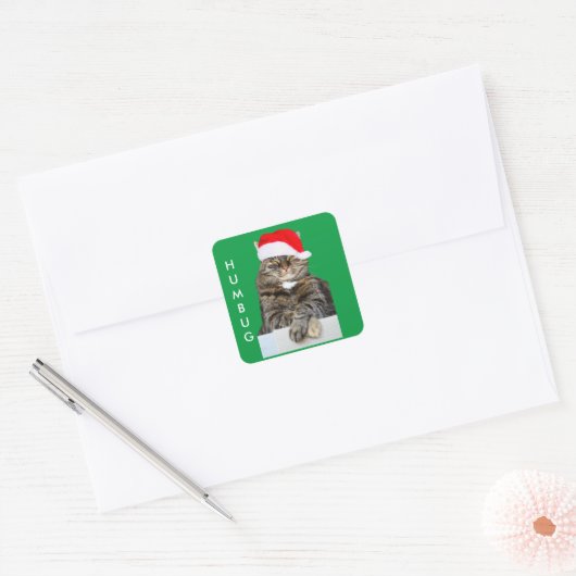 Kerstkat Humbug Foto met Santa Hat Vierkante Sticker (Envelop)