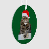 Kerstkat Humbug Photo Circle Ornament (voorkant)