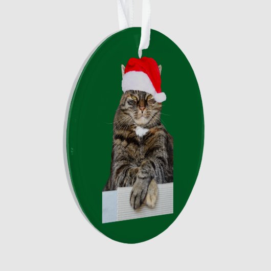 Kerstkat Humbug Photo Circle Ornament (voorkant)