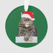 Kerstkat Humbug Photo Circle Ornament (voorkant)