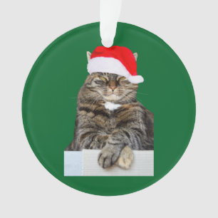 Kerstkat Humbug Photo Circle Ornament