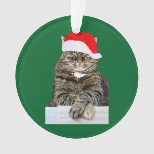 Kerstkat Humbug Photo Circle Ornament (voorkant)