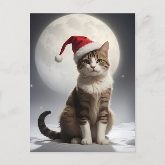 Kerstkat in de nacht briefkaart (Voorkant)