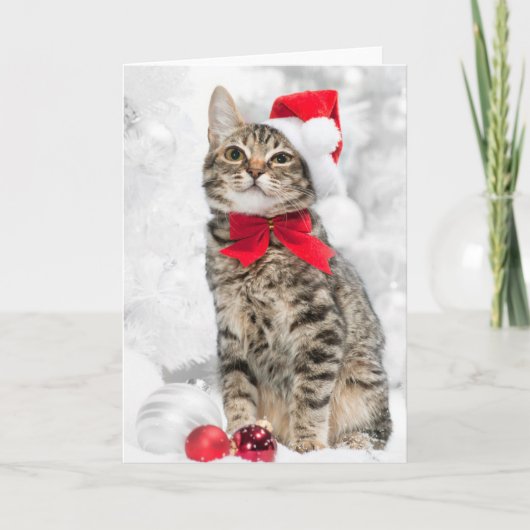 Kerstkat in het Rode Kerstman Pet in de buurt van  Feestdagen Kaart (Voorkant)