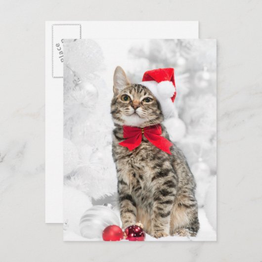Kerstkat in het Rode Kerstman Pet in de buurt van  Feestdagenkaart (Voorkant / Achterkant)