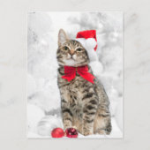 Kerstkat in het Rode Kerstman Pet in de buurt van  Feestdagenkaart (Voorkant)